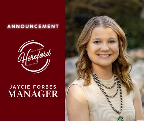 jaycie_forbes